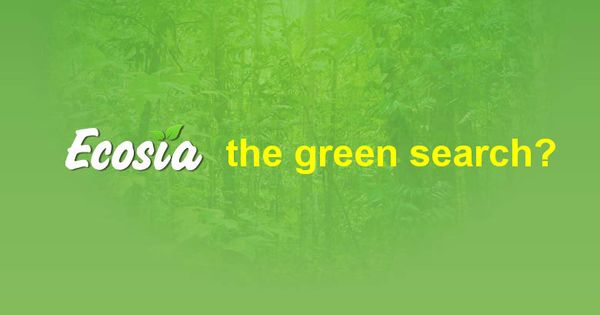 Does Ecosia really have "impeccable ecological credentials"?